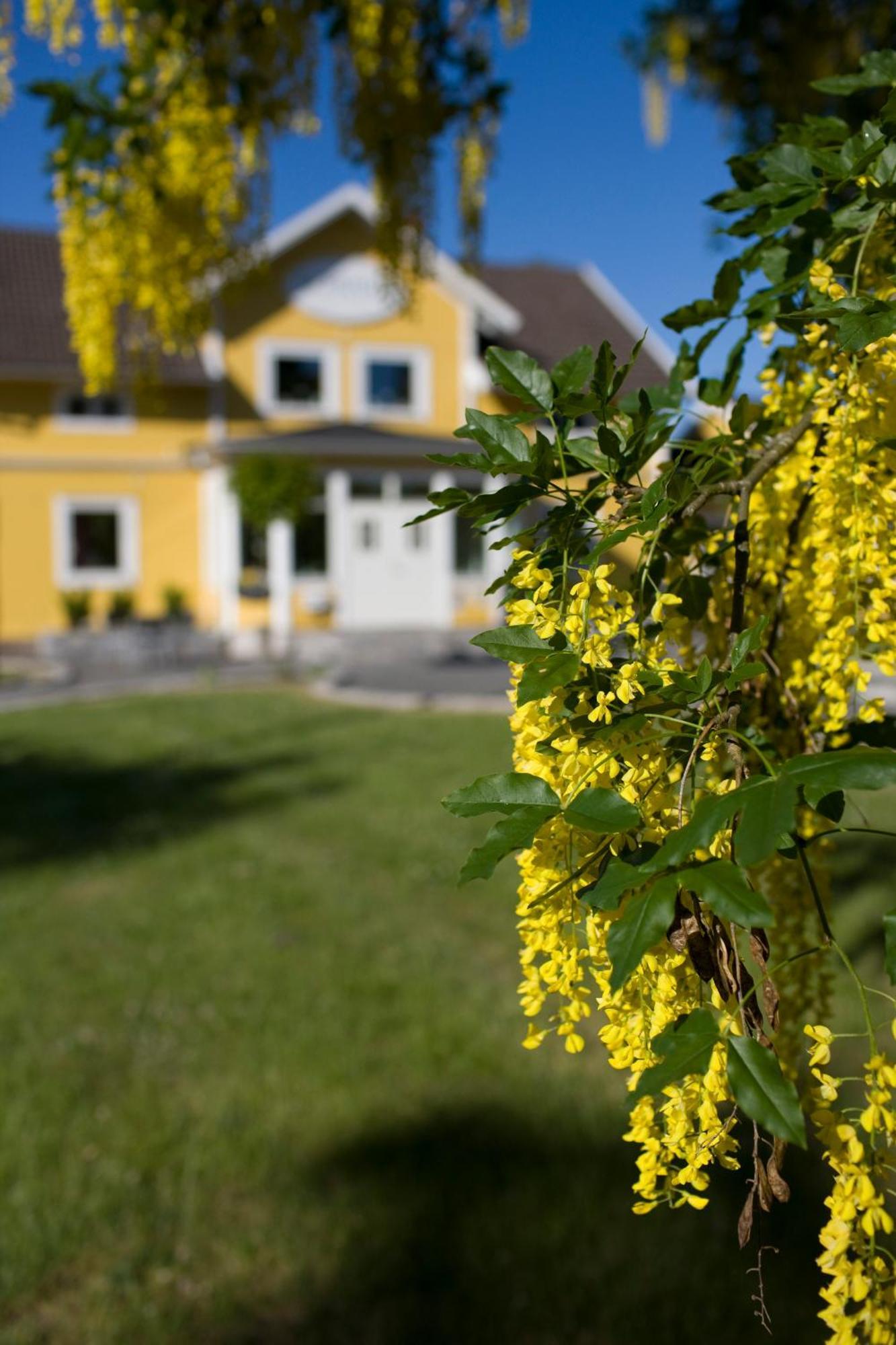 Björkhaga